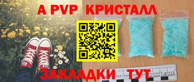 СК Краснодар