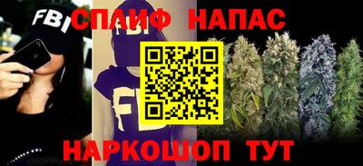 СК Краснодар