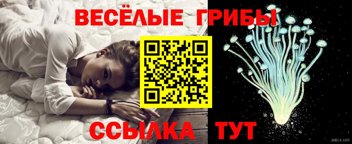 Псилоцибиновые грибы прущие грибы  Вход с VPN  Клин  Галлюциногенные грибы Cubensis 